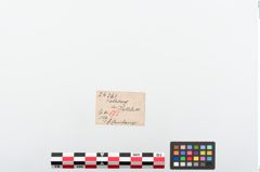 Etiketten zu Eisenlanzenspitze (NHMW-PRAE-024261)